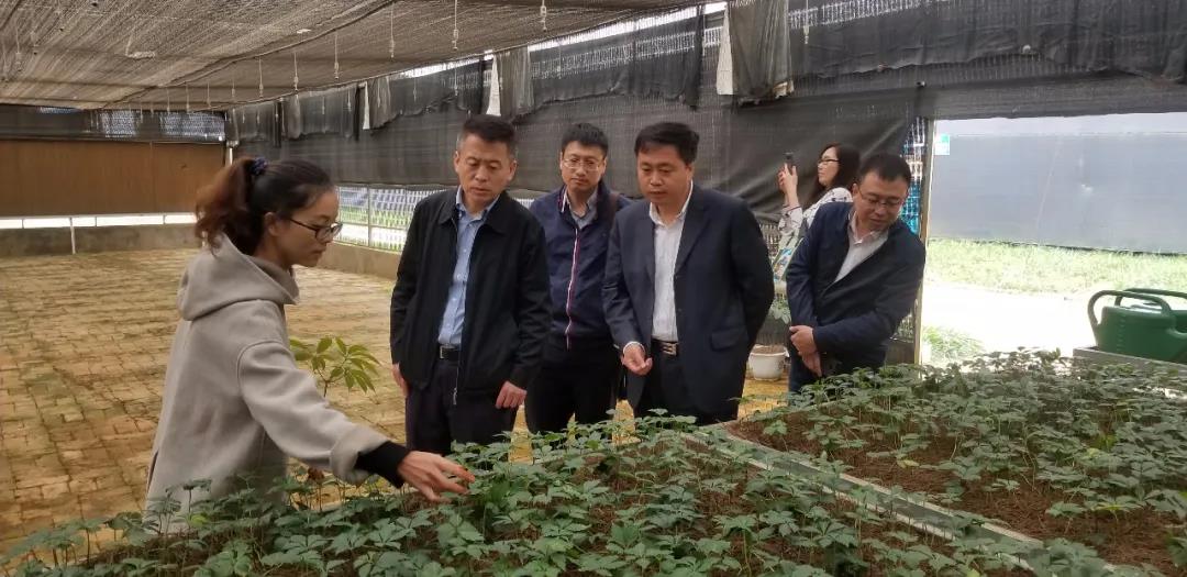 Z6·人生就是博(中国区)官方网站